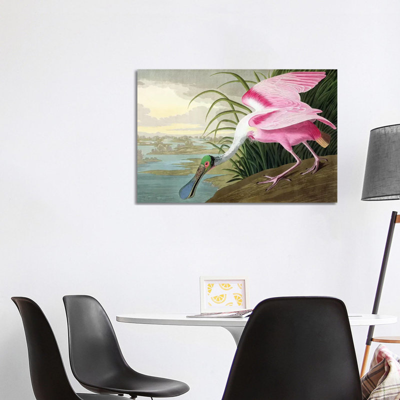 Spatule rosée, Platalea, 1836 - Giclée sur toile tendue avec châssis, H 26 po x l 40 po