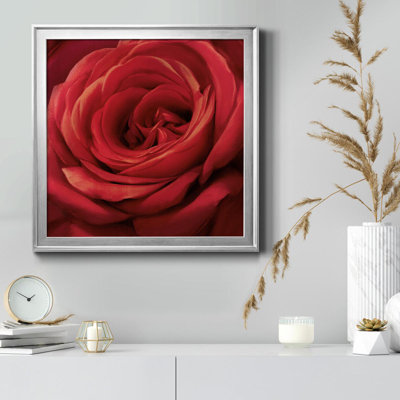 Solo Solo - photographie sur toile encadrée