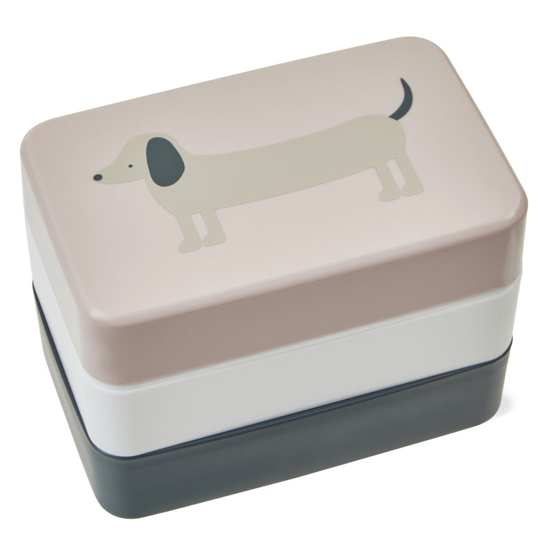 Dajun Food Storage Container