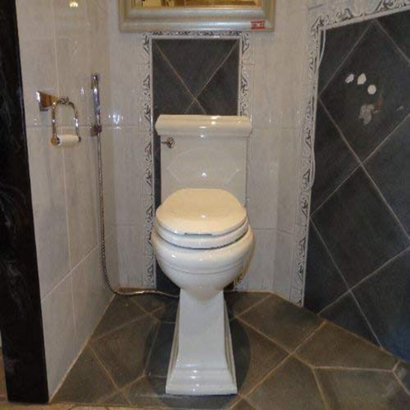 Hand Held Bidet,Shattaf,Douchette,Diaper Rinsing Sprayer