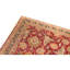 Hand Knotted Wool Oriental Area Rug in Red And Black
