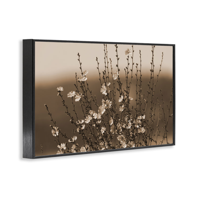  «Tiny Flowers Blooming Giclee Art» par Nancy Crowell, H 16 po x l 24 po, Giclée encadrée noir minuit