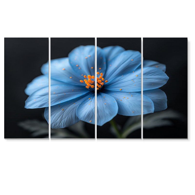 «Blue Orange Delicate Marigold Photo II», ensemble d'art sur toile souci, H 28 po x l 48 po