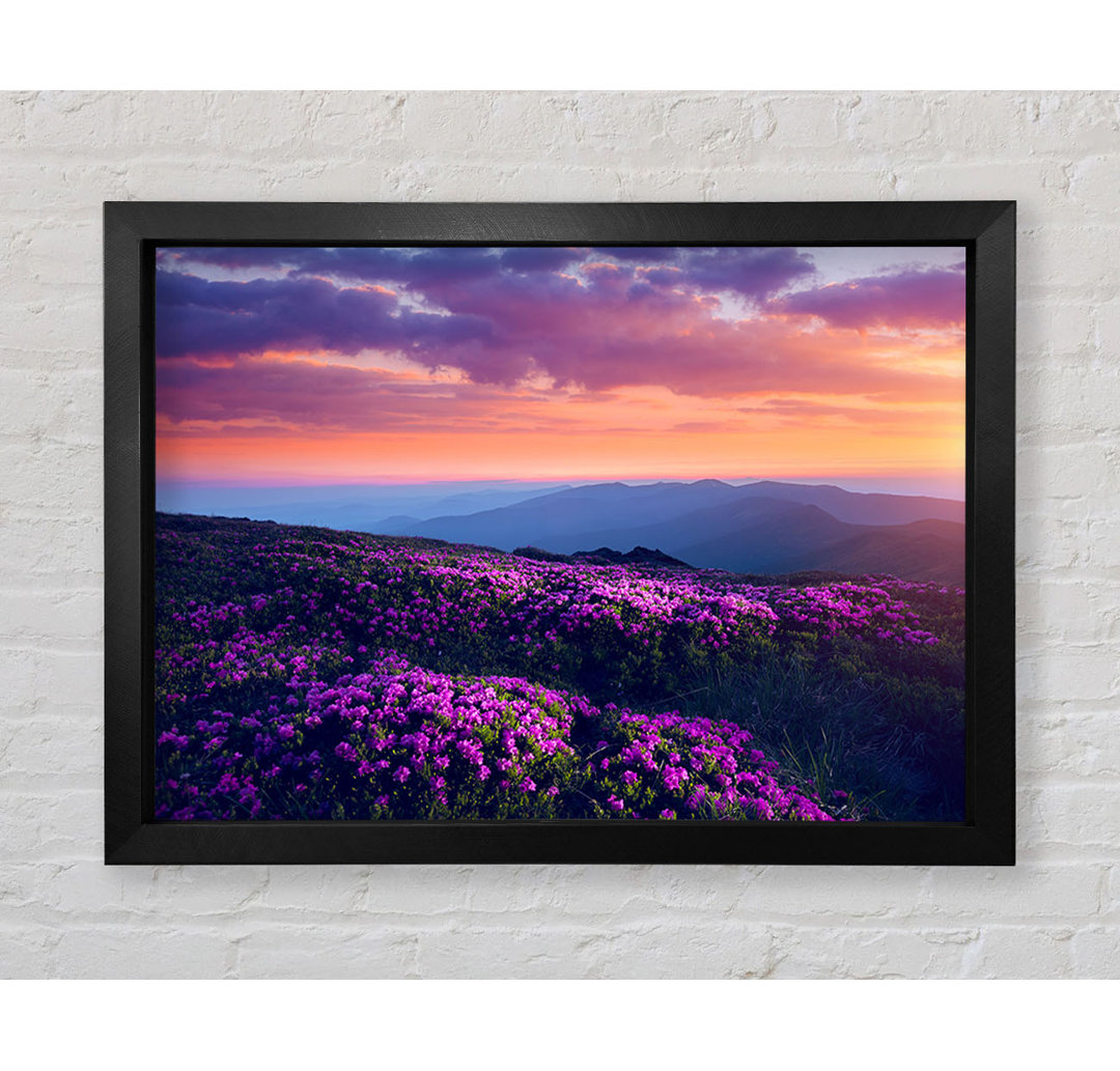 Purple Meadow Mountains - Einzelne Bilderrahmen Kunstdrucke