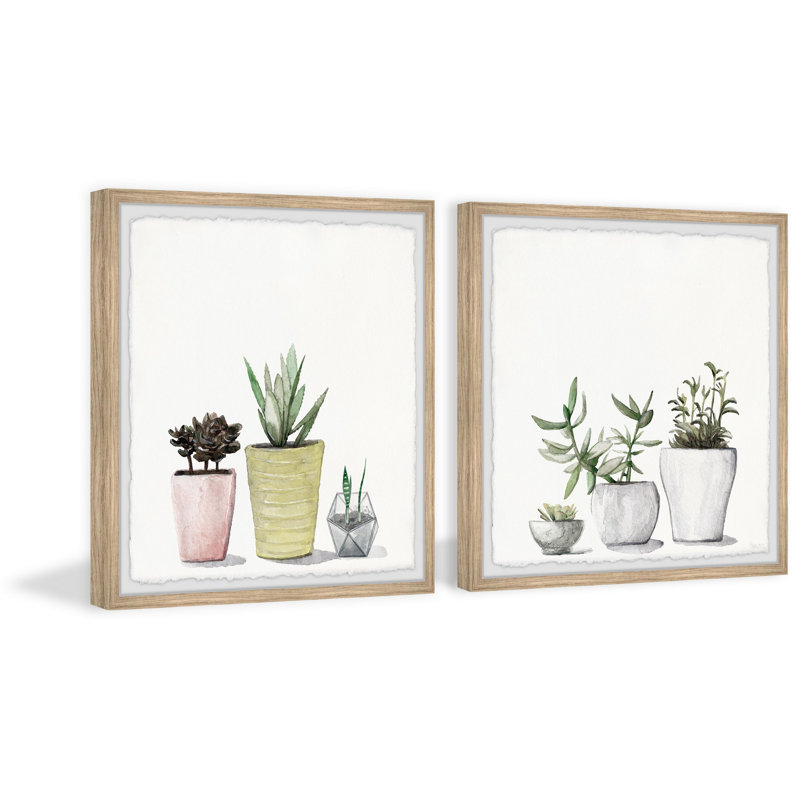 Vases Of Succulents by Parvez Taj - 2 Piece Single Picture Frame Painting Set, 81" H x 81" W x 3.81" D