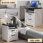 40.1 cm W Chest of 2 Drawers