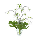 Feuille de Philo et arrangement de branches de saule dans un vase en verre transparent