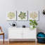 «Succulent Cameo», ensemble de 3 toiles tendues-506474725