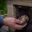 Wood Planter Box