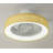 Jiren Dimmable Flush Mount LED Ceiling Fan with Remote Control-586990035