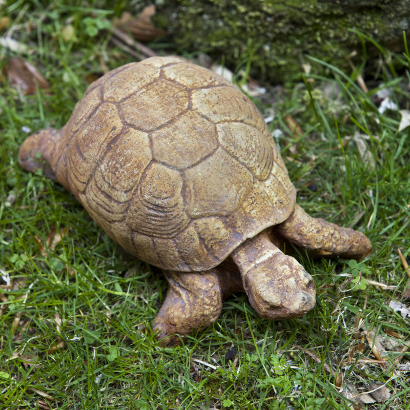 Turtle Statue, Alpine Stone