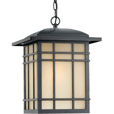Lanterne suspendue d'extérieur 1 lumière Albena