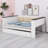 Modern Wood Daybed With Upholstered Backrest, Built-In Shelves, USB Charging Port & Hidden Pull-Out Trundle Bed