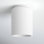 Sumatra Single Light Ceramic Flush Mount