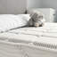 Dormeo Memory Plus Mattress-44671033