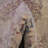 Orianthi Indoor Rug-764668310