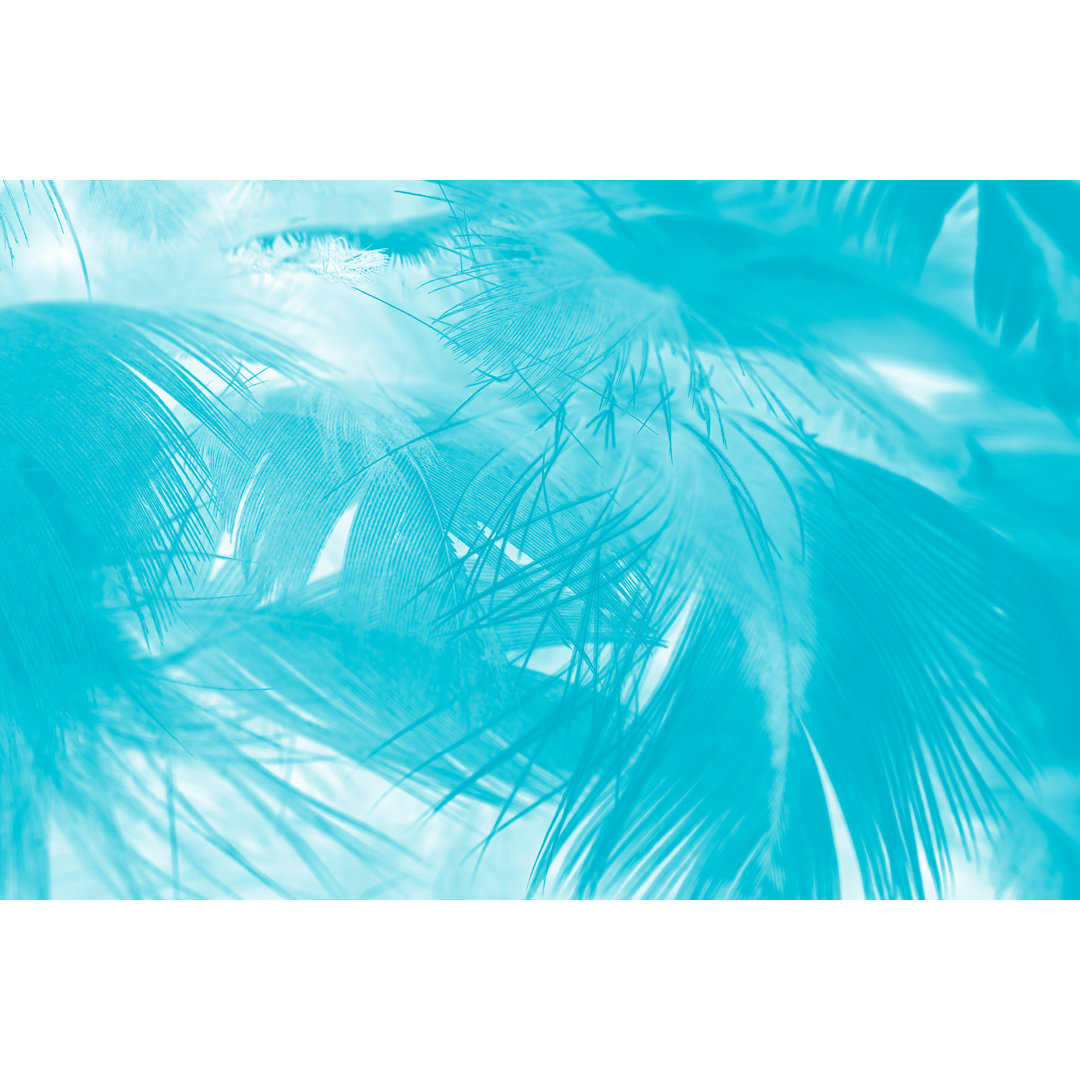 Feather Texture Background - Wrapped Canvas Print