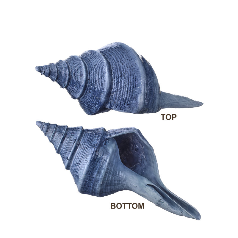 19" Resin Conch Shell