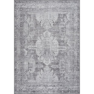 Oriental Indoor Rug