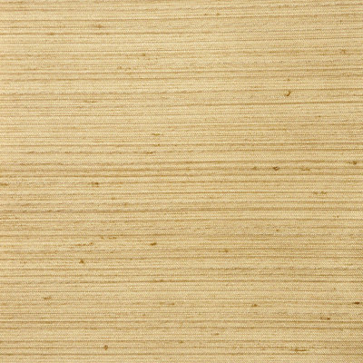 Final Draft Fabric