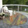 Machine Washable Indoor/Outdoor Claudian ACN1648 Orange Rug