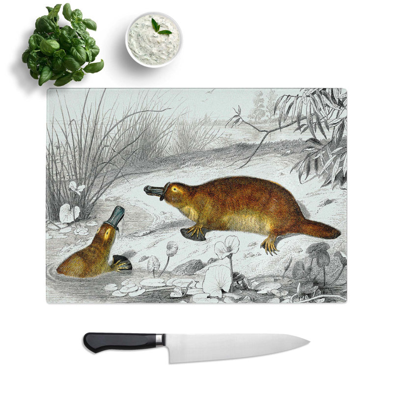 Tempered Glass Platypus Illustration by Charles D' Orbigny Chopping Board, 39 cm W x 28.5 cm L