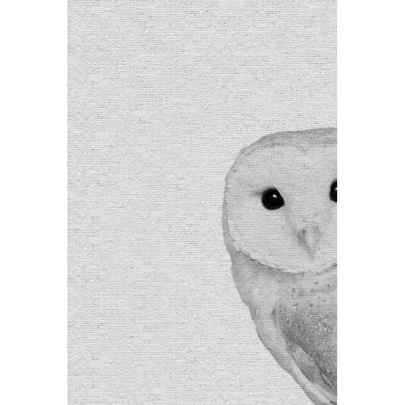 «Owly Surprise», reproduction sur toile tendue, H 12 po x l 8 po x P 1,5 po