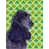 Épagneul cocker (noir et mauve) sélectionné