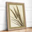 Grain Study Botanical - Framed Print-775496348-775496350