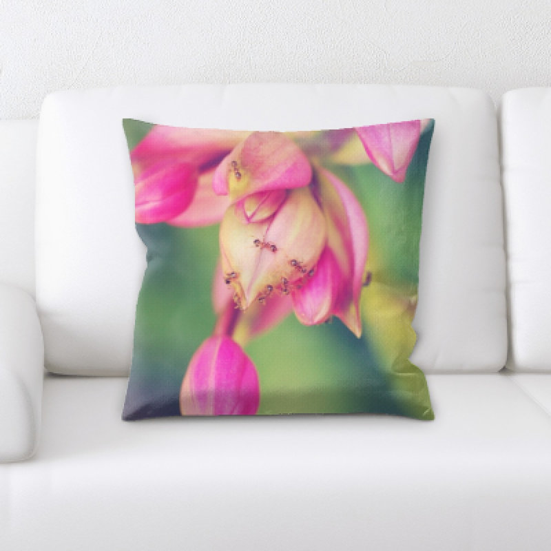 Coussin décoratif little animaux Zuniga