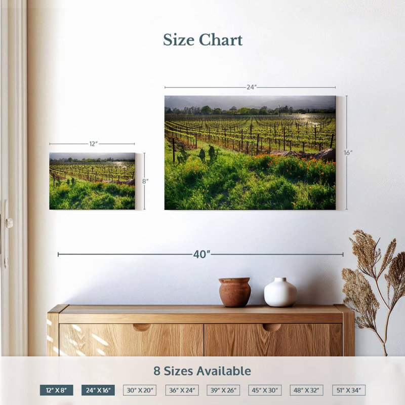 Alvord Sunrise In The Vineyard, H 16 po x l 24 po
