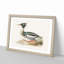 Merganser Diving Duck by Von Wright - Picture Frame Painting Print-55575617-55575620