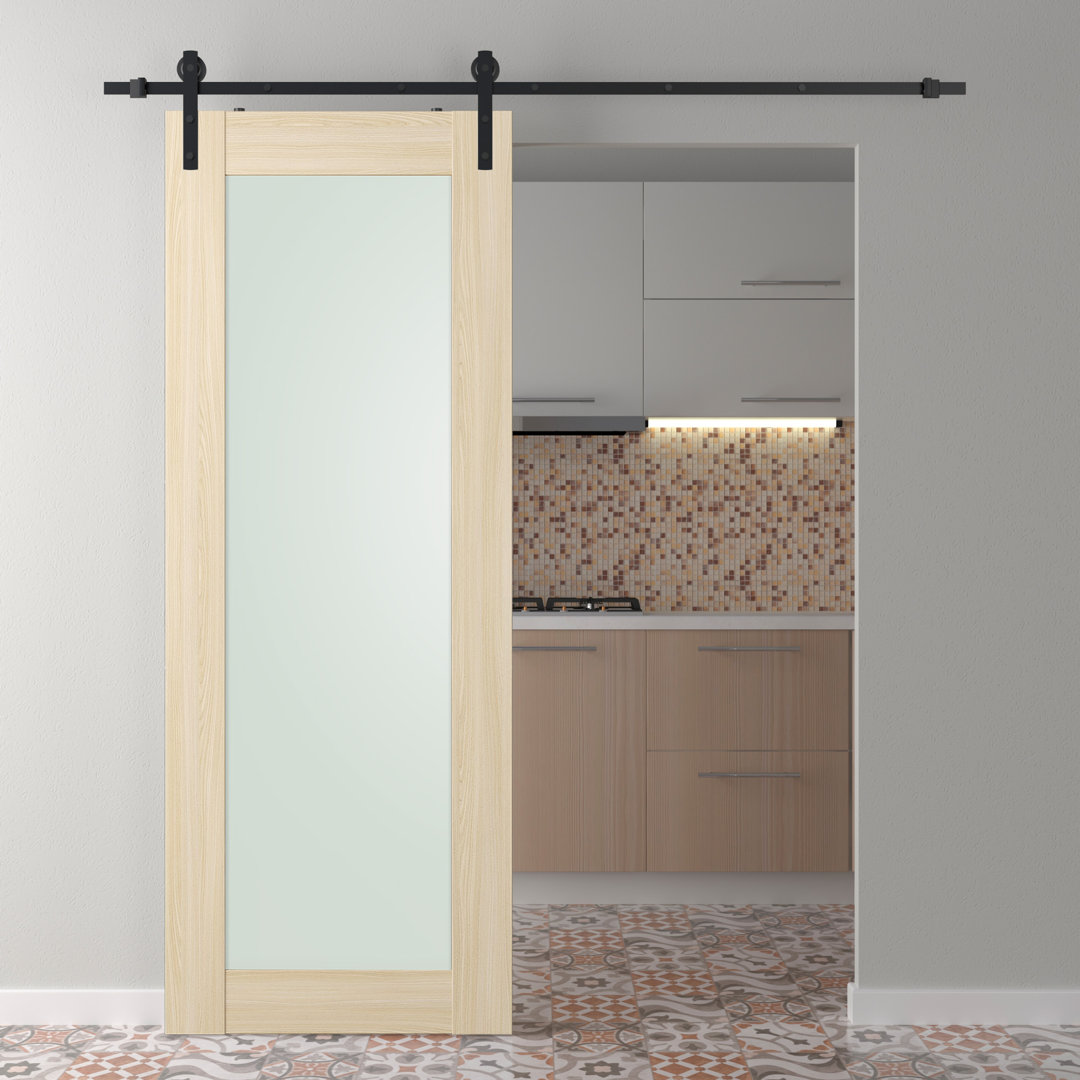 Avon 207 Solid Manufactured Wood and Glass Paneled Prefinished Barn Door with Installation Hardware Kit Belldinni 