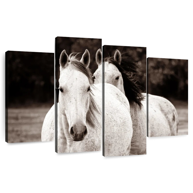 Brampt Two Wild Horse Sepia