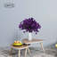 Tiges Delphinium