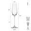 Lana 8.25 oz. Champagne Flutes