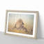 Lion by Takeuchi Seiho - Picture Frame Painting Print-55580678-55580677