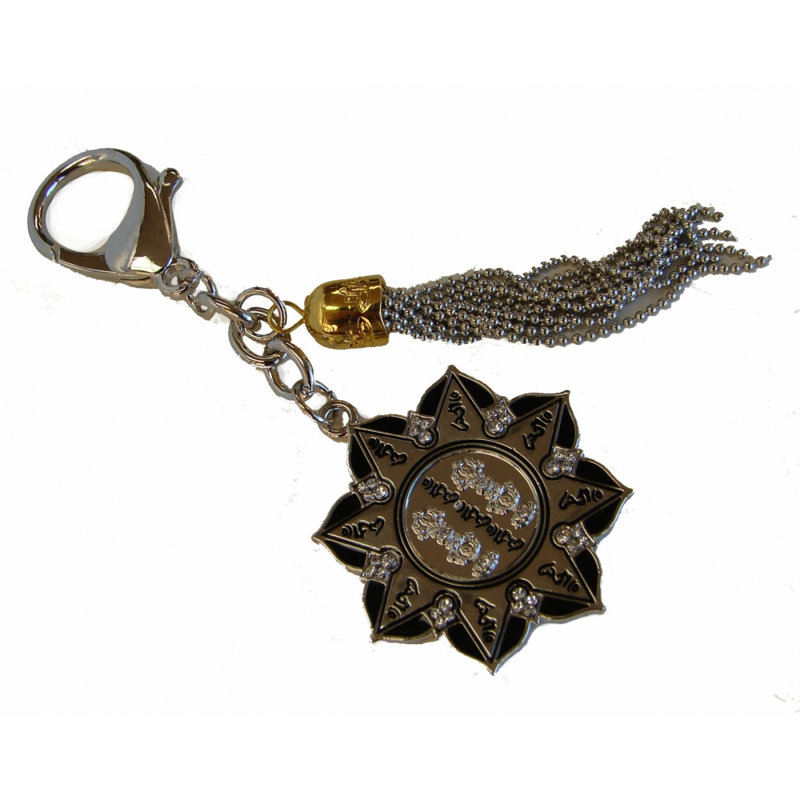 Amulette de protection annuelle avec chaîne de tortue et de serpent