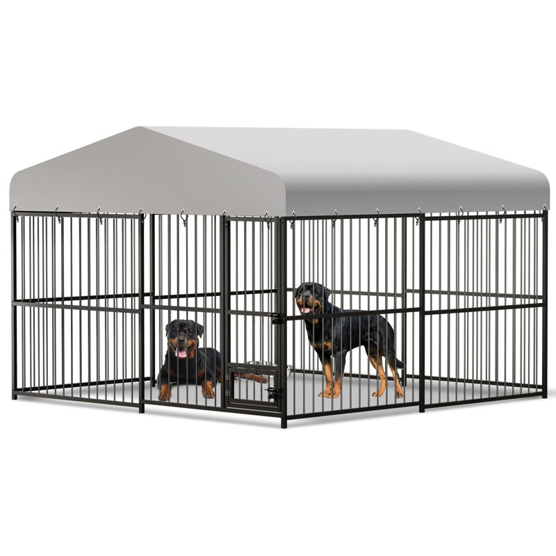 Chenil en fer 70,87 "avec porte