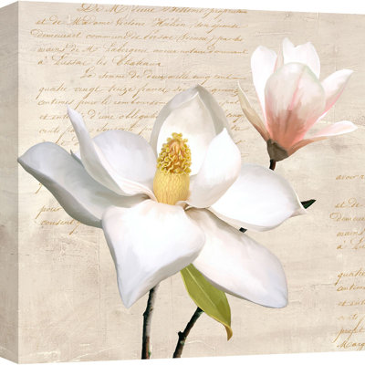 Ivory Magnolia I - Wrapped Canvas Print