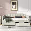 Reetal Twin Size Upholstered Daybed With Drawers-564640190