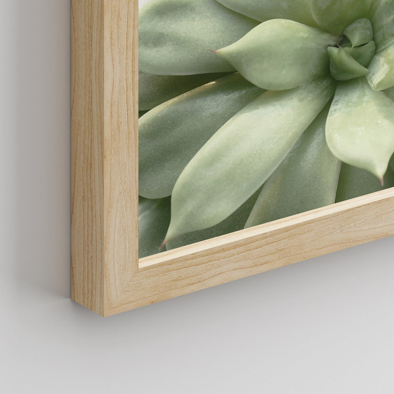 «Succulent Cactus Close Up Southwest Green Lily Pad» sur papier, Naturel, H 14 po x l 11 po