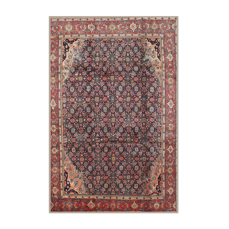 Oriental Indoor Rug, Rectangle 5' x 7'