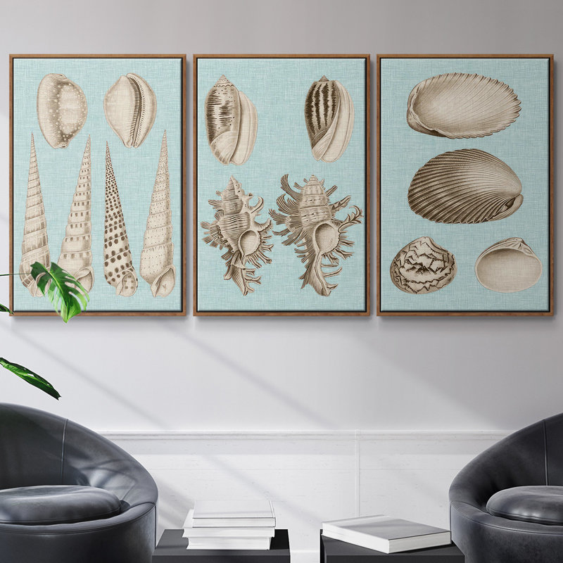 Ensemble de 3 pièces sépia et aqua coquillages IV encadrées sur toile, H 27 po x l 54 po, Noyer