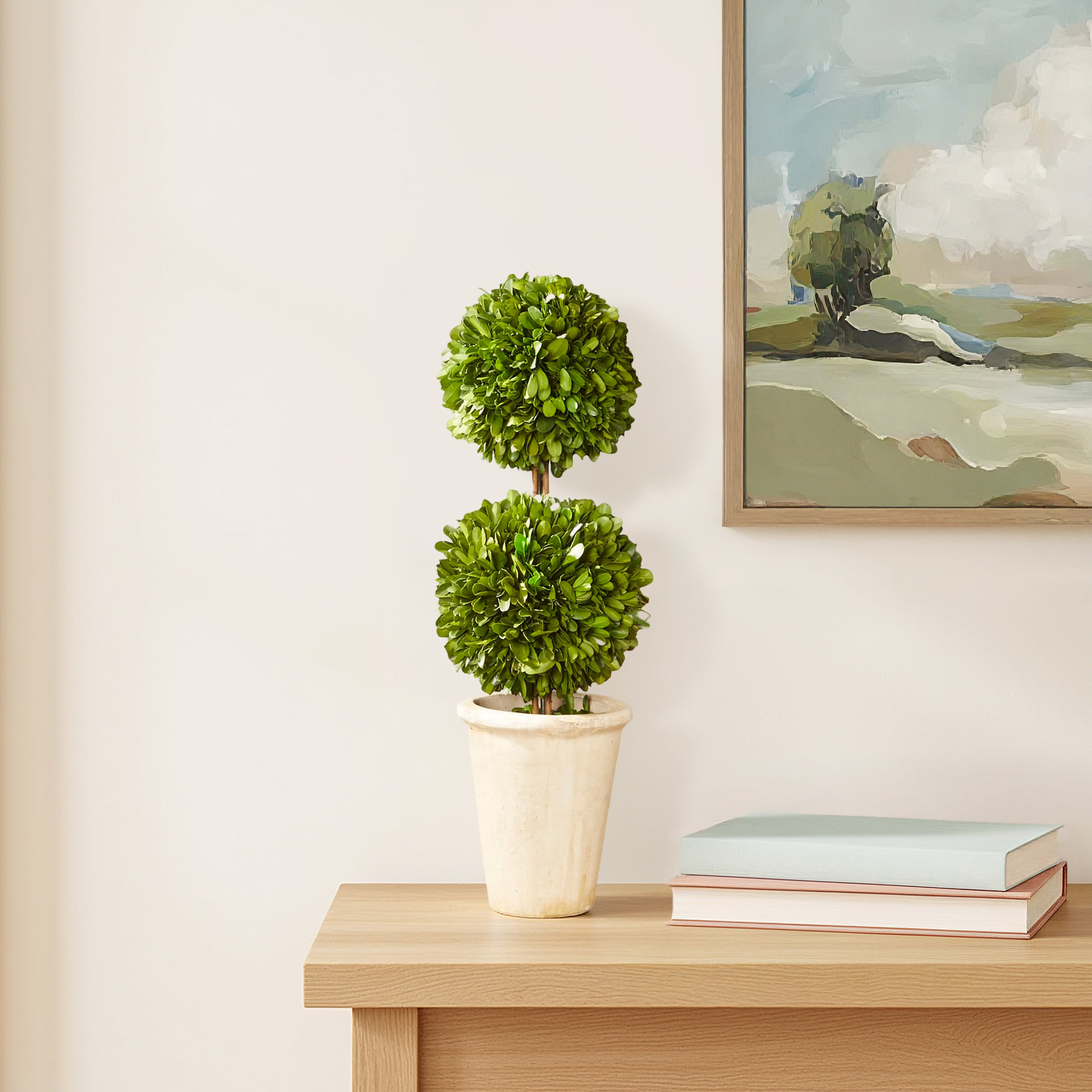 Preserved Boxwood Double Ball Topiary, 20" H