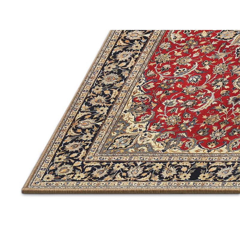 Anaiya Oriental Indoor Rug, Rectangle 4' x 6'