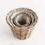 Normandy Rattan Planter Set