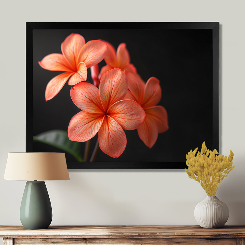 Décoration murale Kinsman - Plumeria, Toile encadrée noire simple, H 12 po x l 20 po x P 1 po