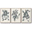 Growing Leaves IV 3 pièces-91891720-91891724