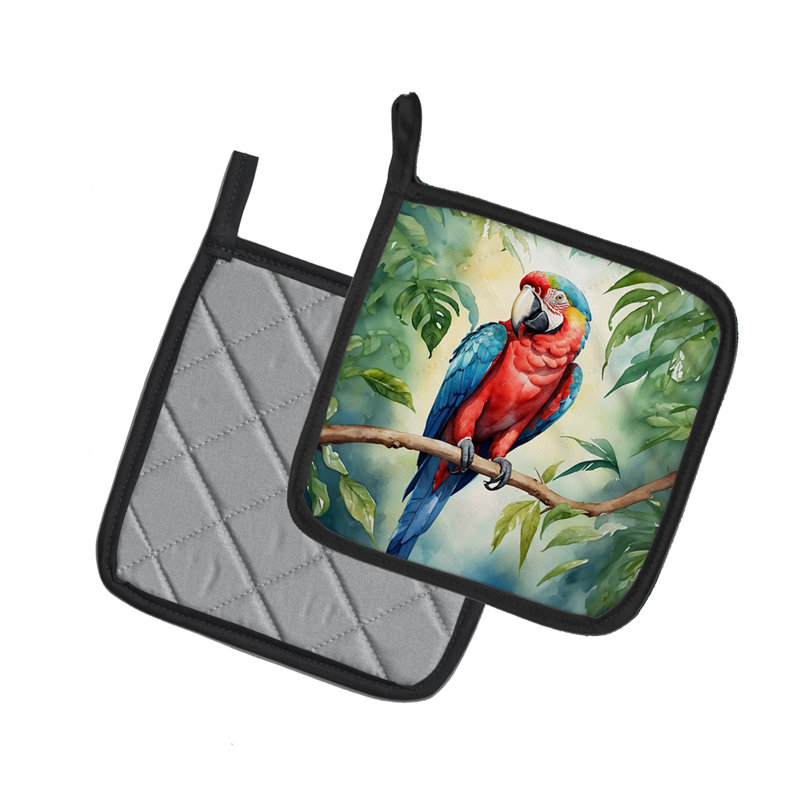 Paire de poignées perroquet Macaw